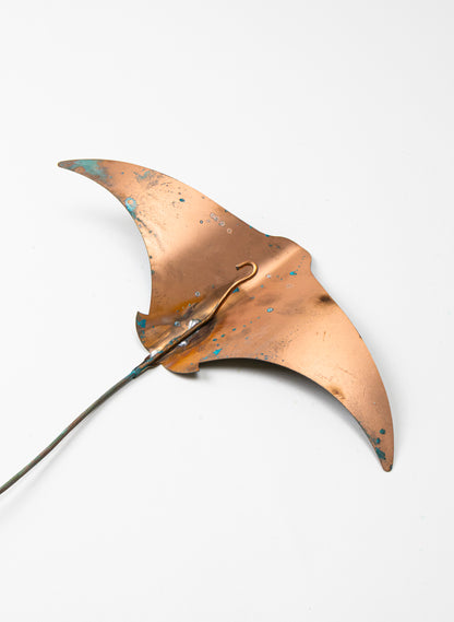 Stingray - Large