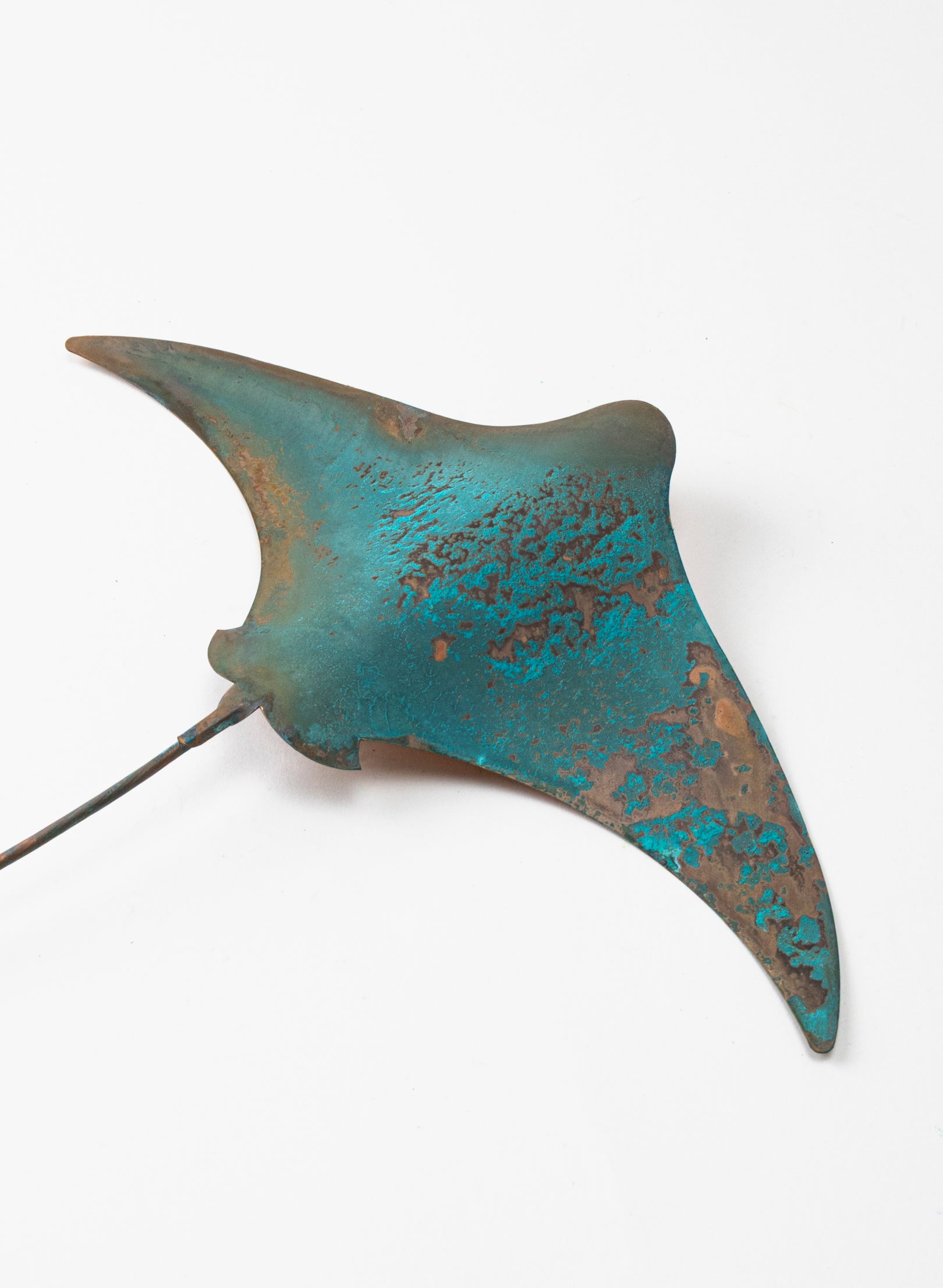 Stingray - Large