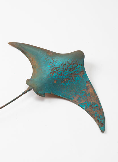 Stingray - Large
