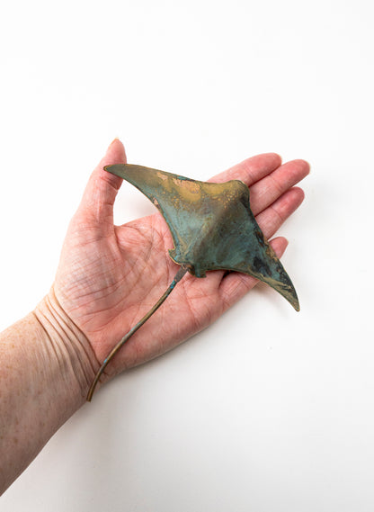 Stingray - Small
