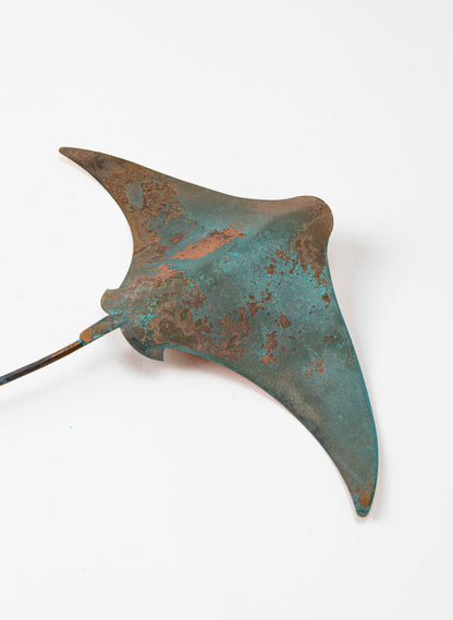 Stingray - Medium