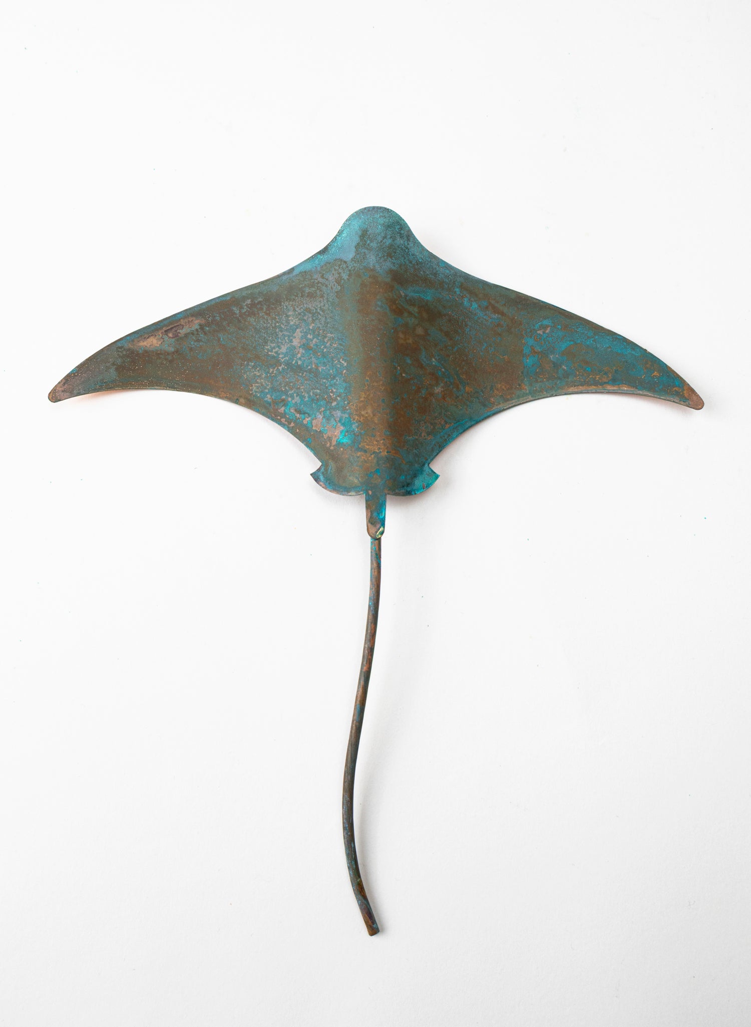 Stingray - Medium