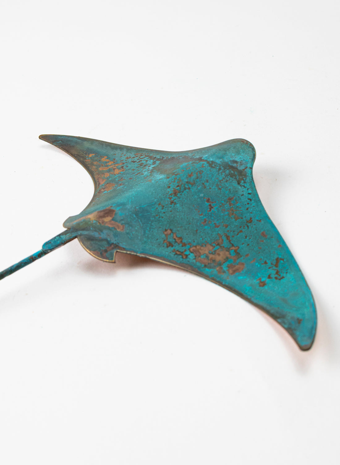Stingray - Medium