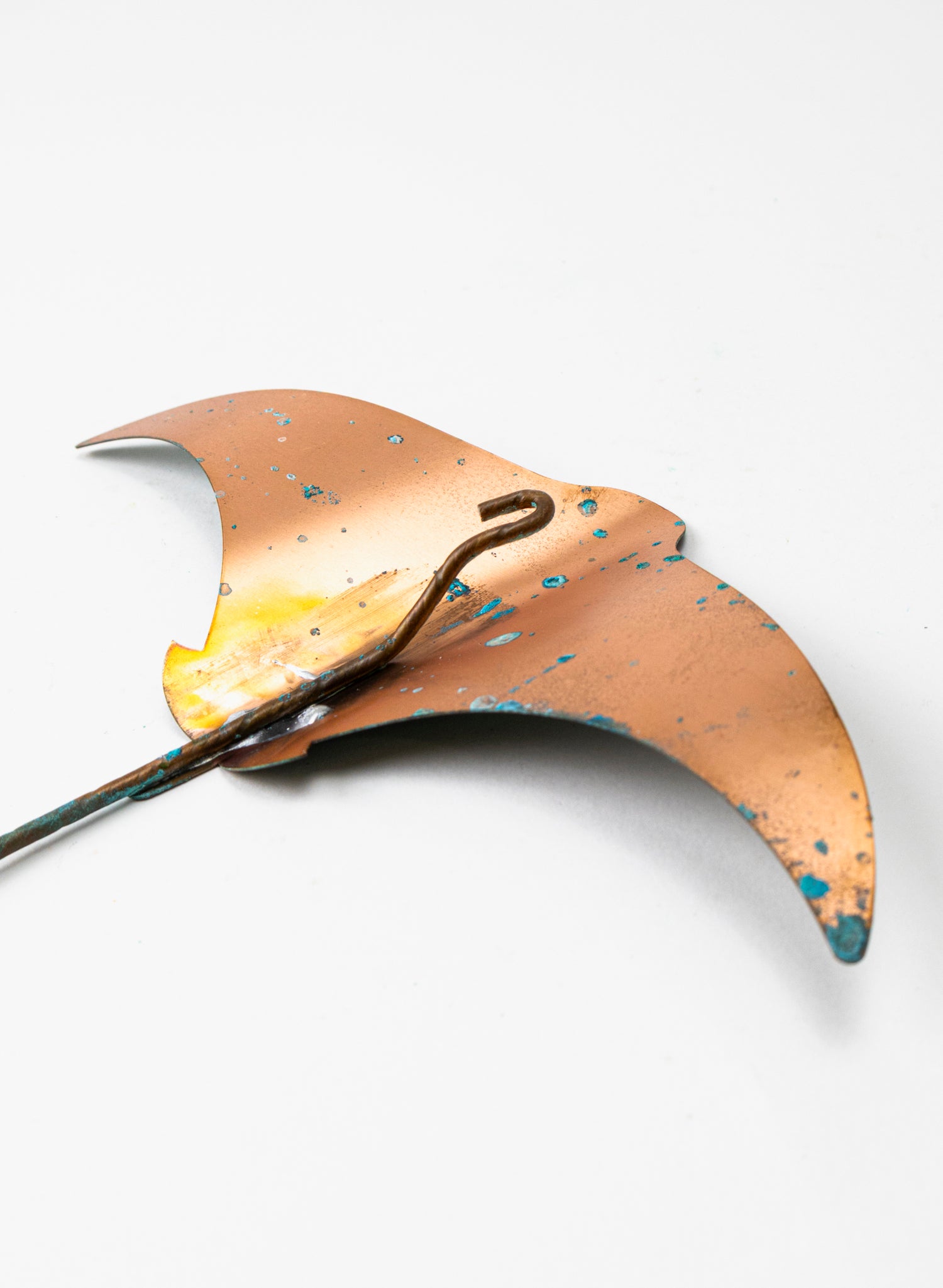 Stingray - Medium