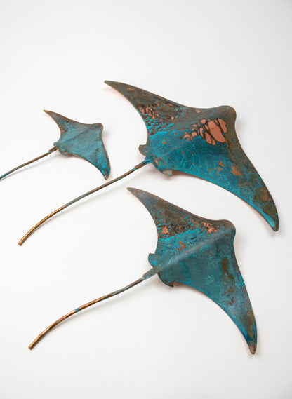 Stingray - Set of 3