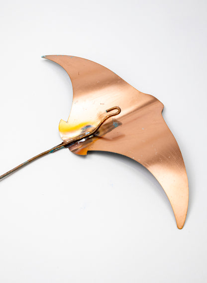 Stingray - Set of 3