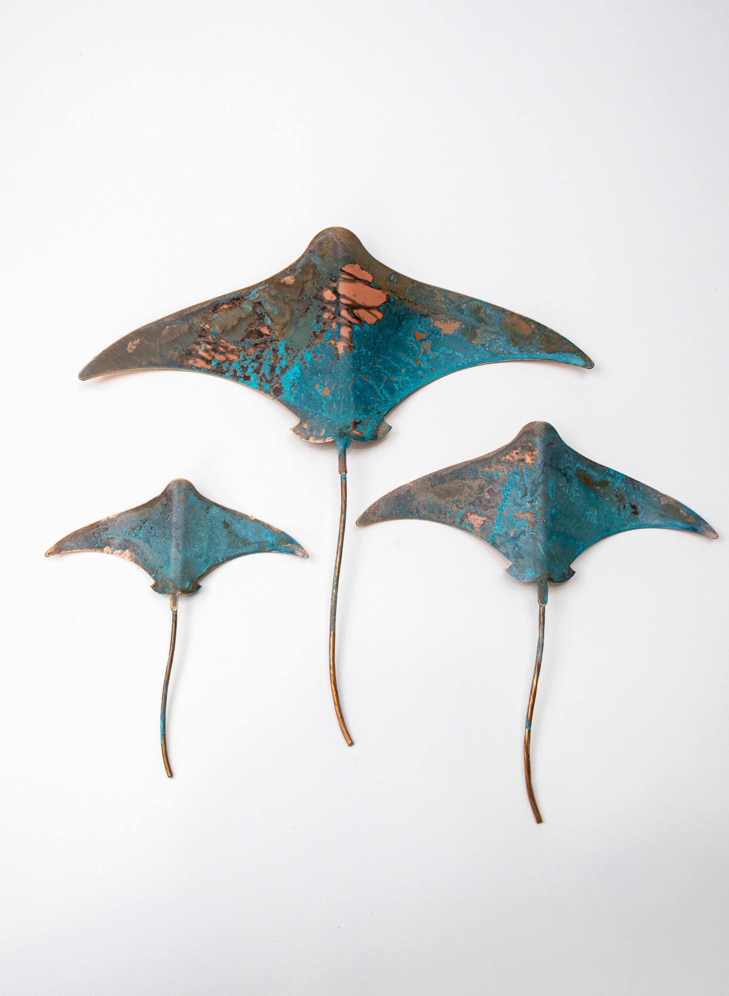 Stingray - Set of 3