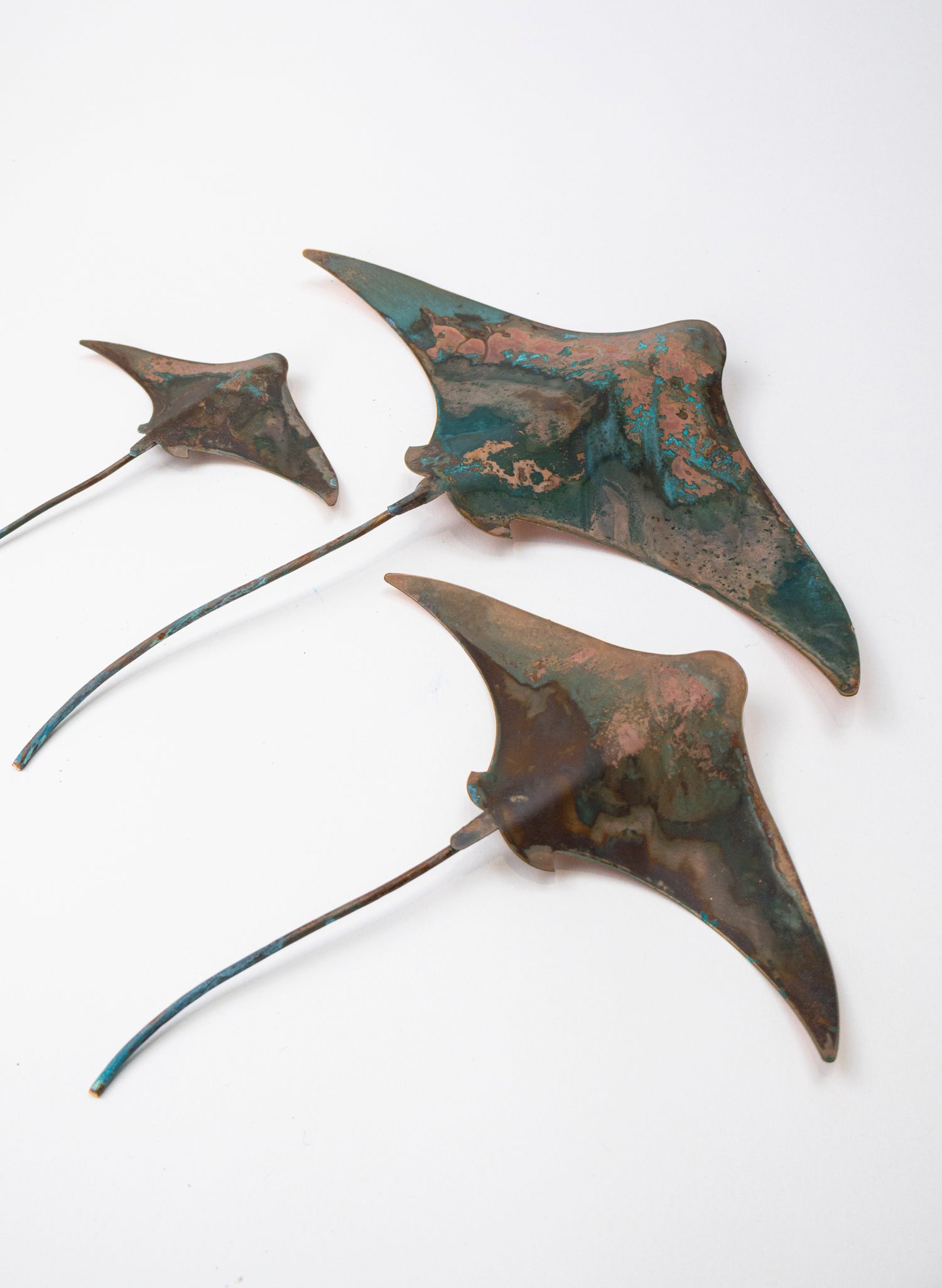 Stingray - Set of 3