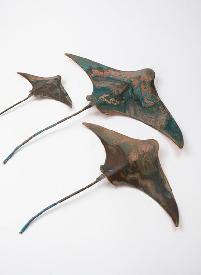 Stingray - Set of 3