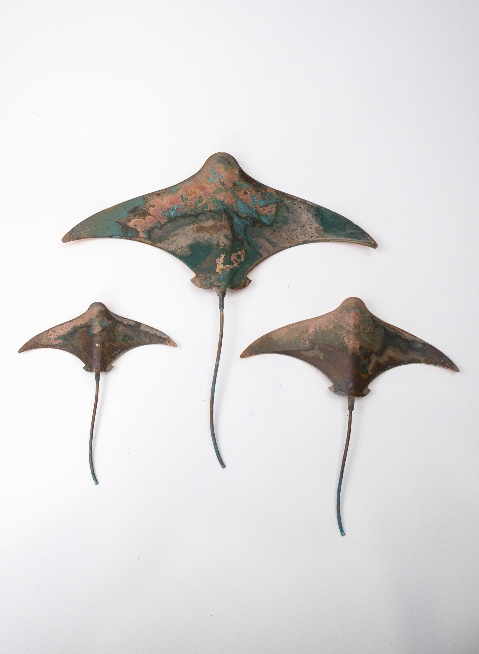 Stingray - Set of 3