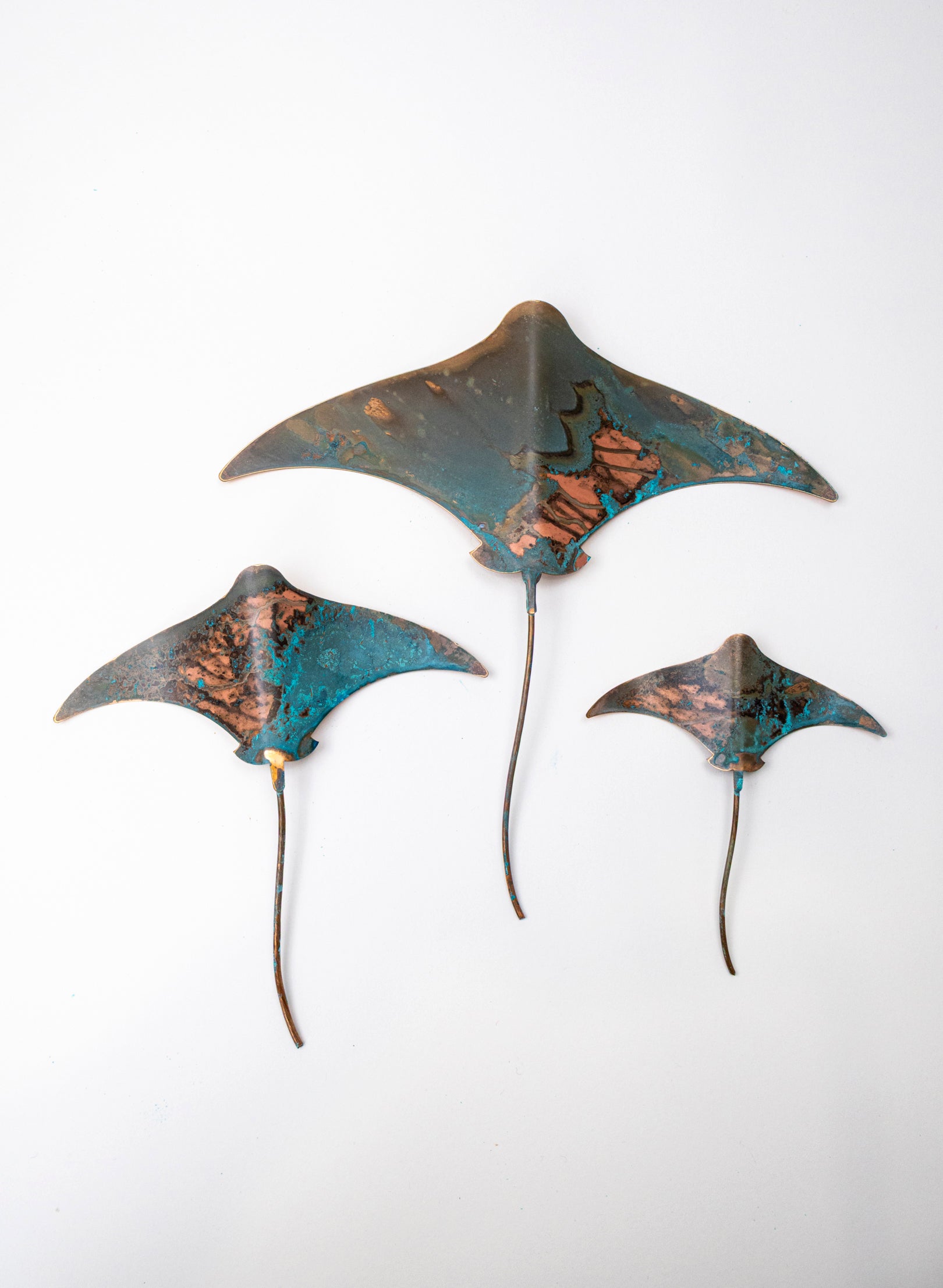 Stingray - Set of 3