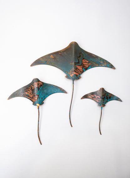 Stingray - Set of 3