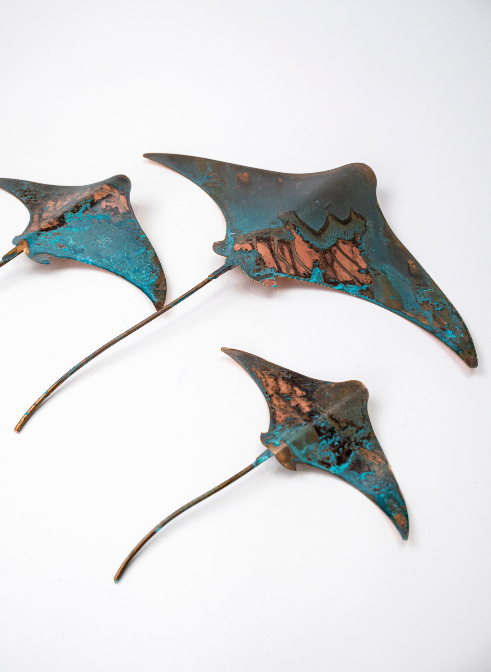 Stingray - Set of 3