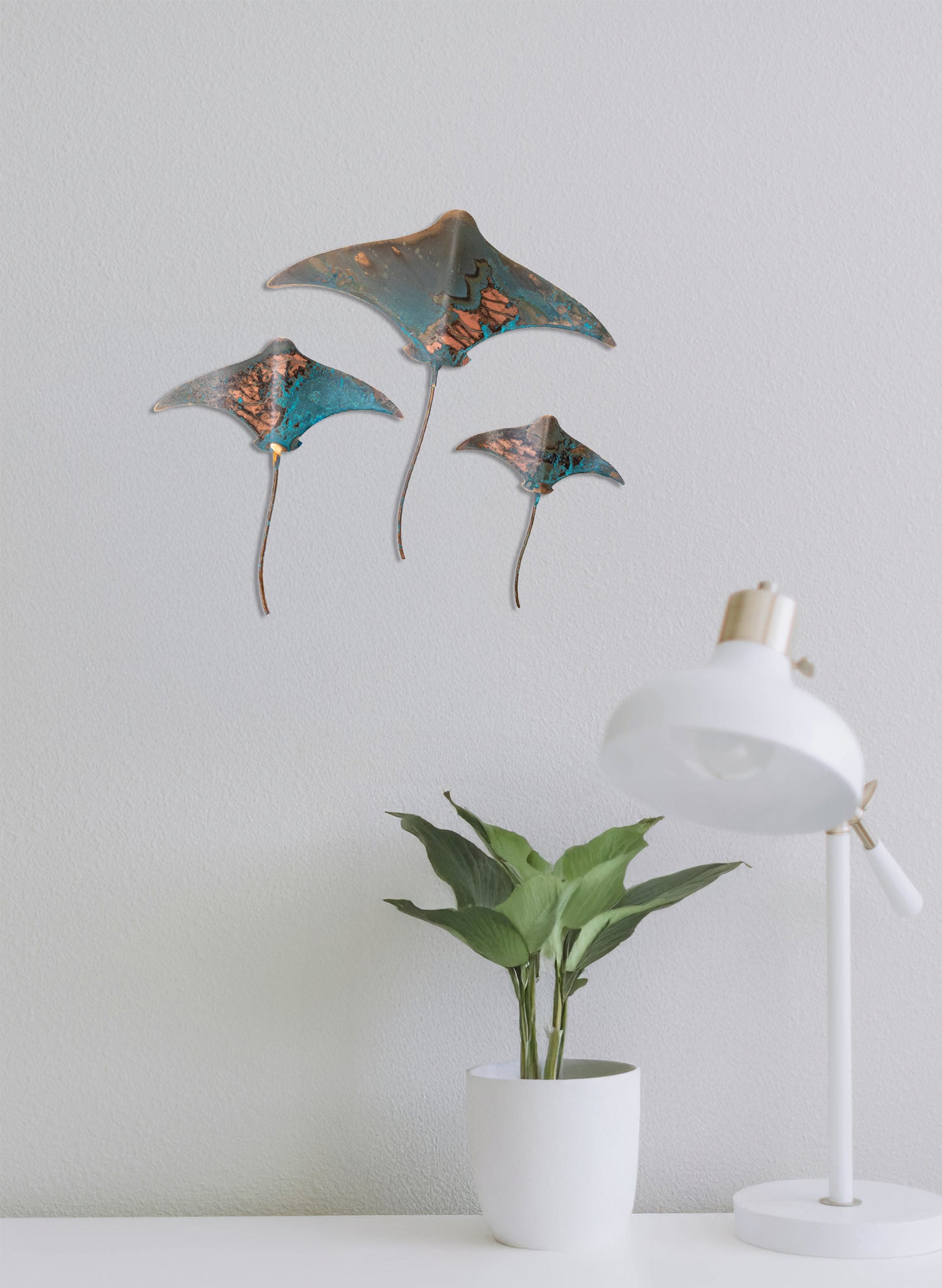 Stingray - Set of 3