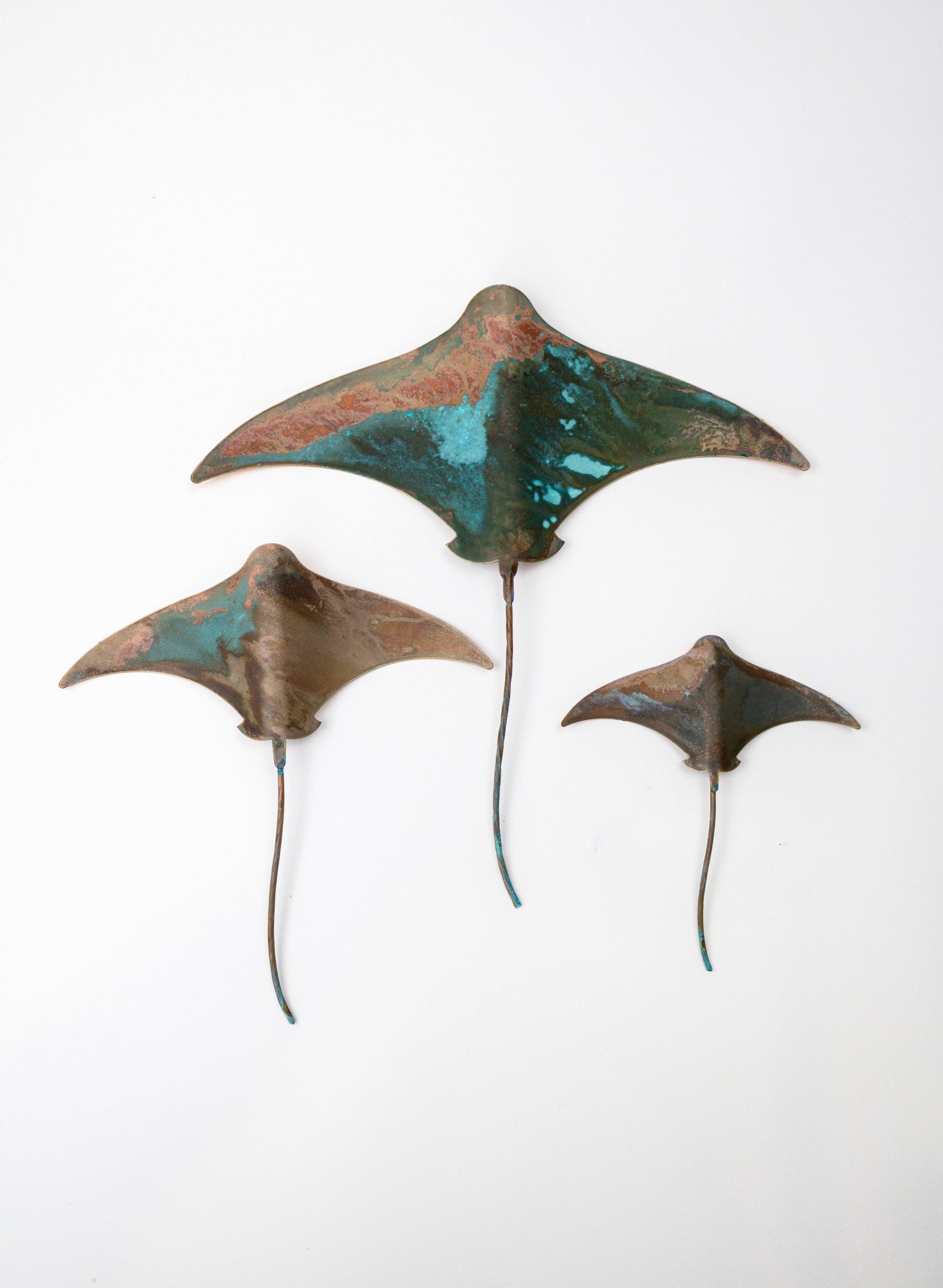Stingray - Set of 3