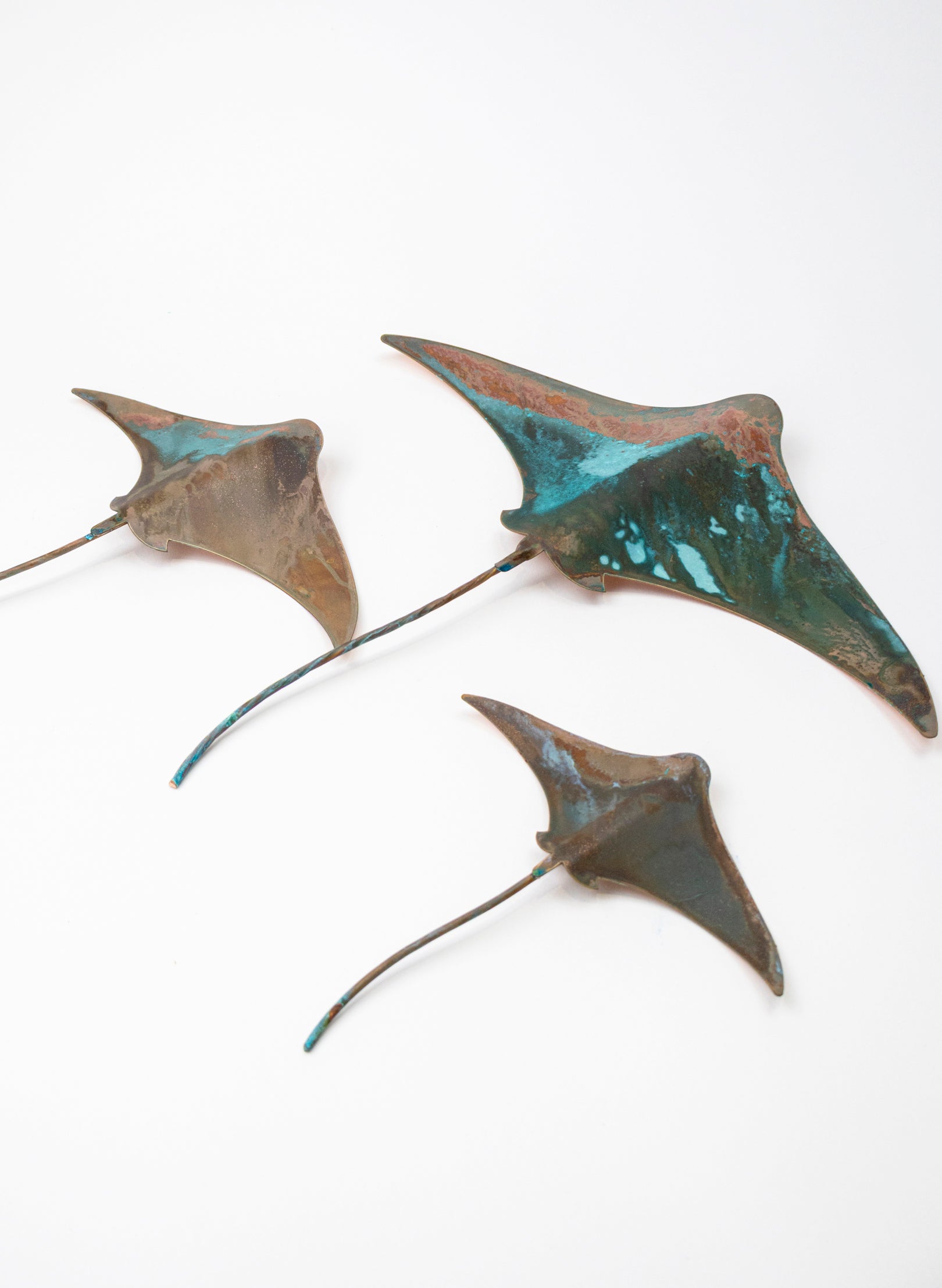 Stingray - Set of 3