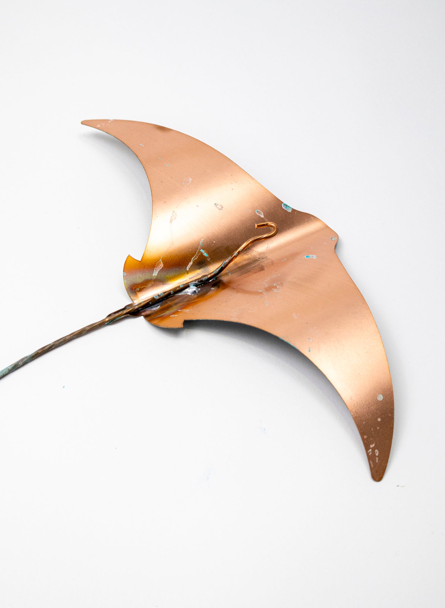 Stingray - Set of 3