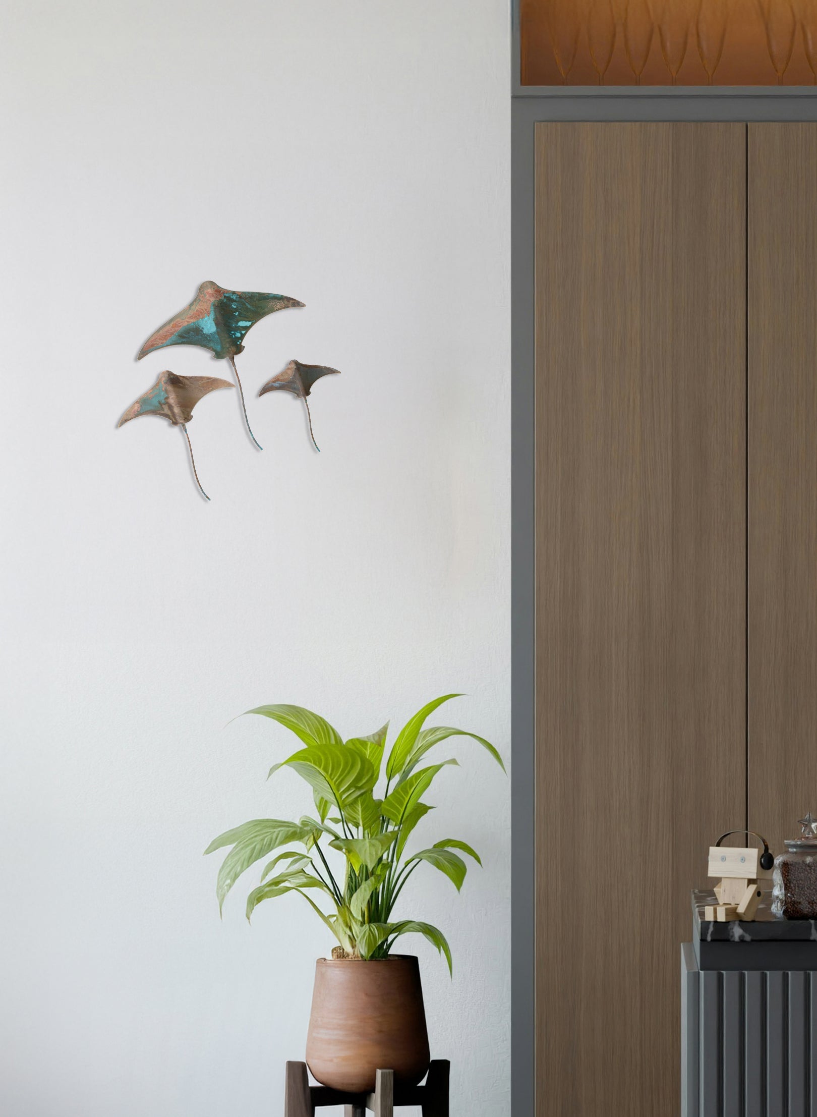 Stingray - Set of 3