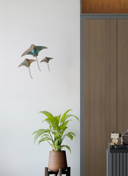 Stingray - Set of 3