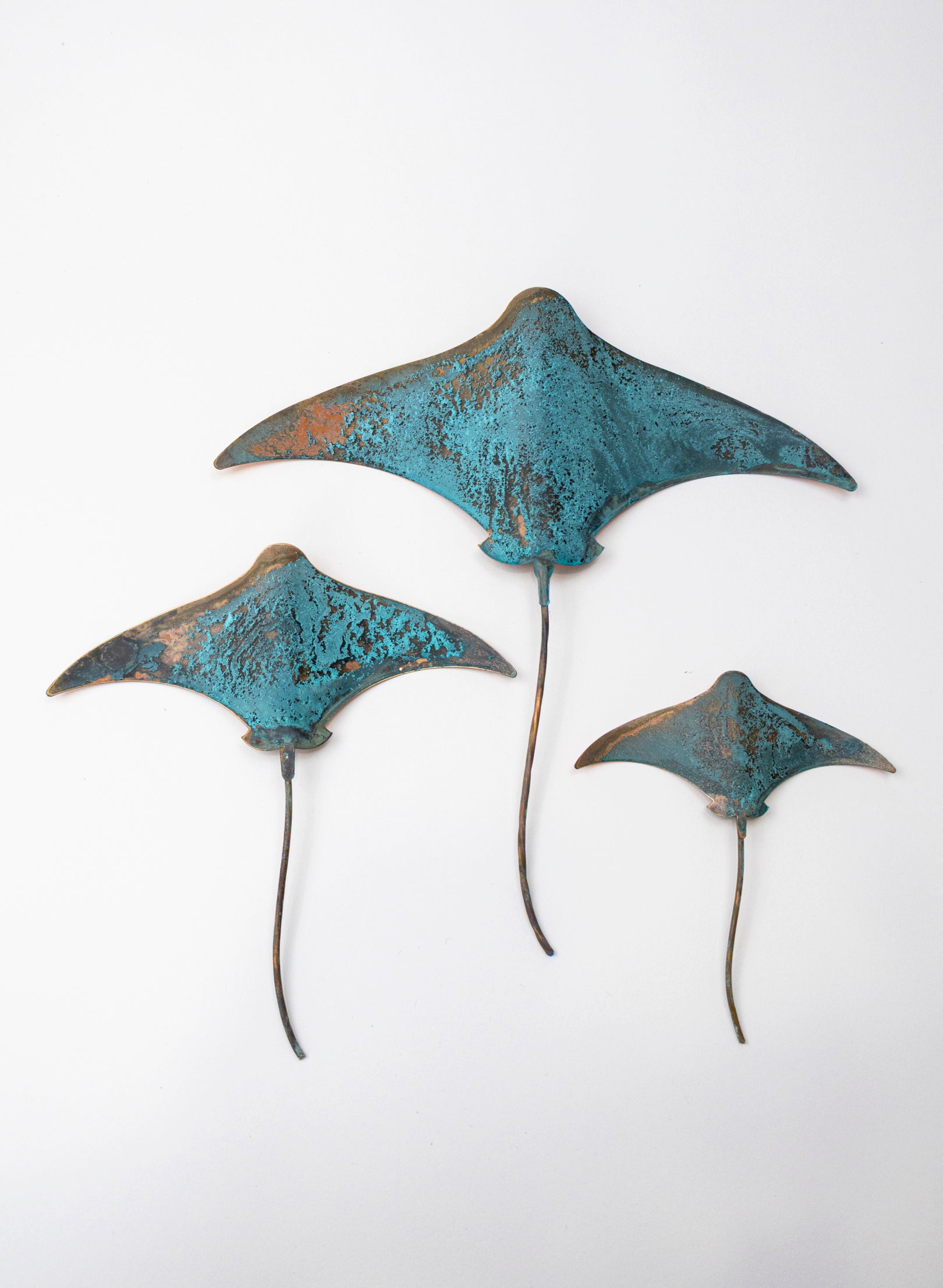 Stingray - Set of 3 (Teal)