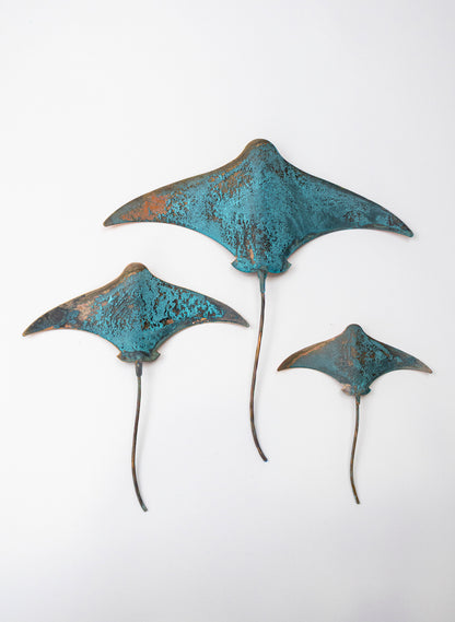 Stingray - Set of 3 (Teal)