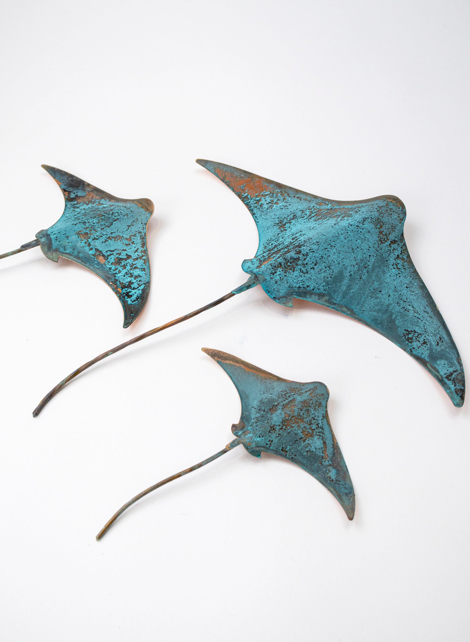 Stingray - Set of 3 (Teal)