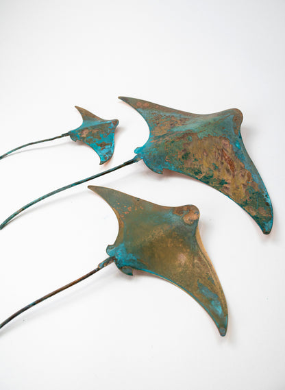 Stingray - Set of 3 (Teal)