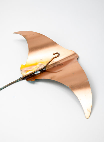 Stingray - Set of 3 (Teal)