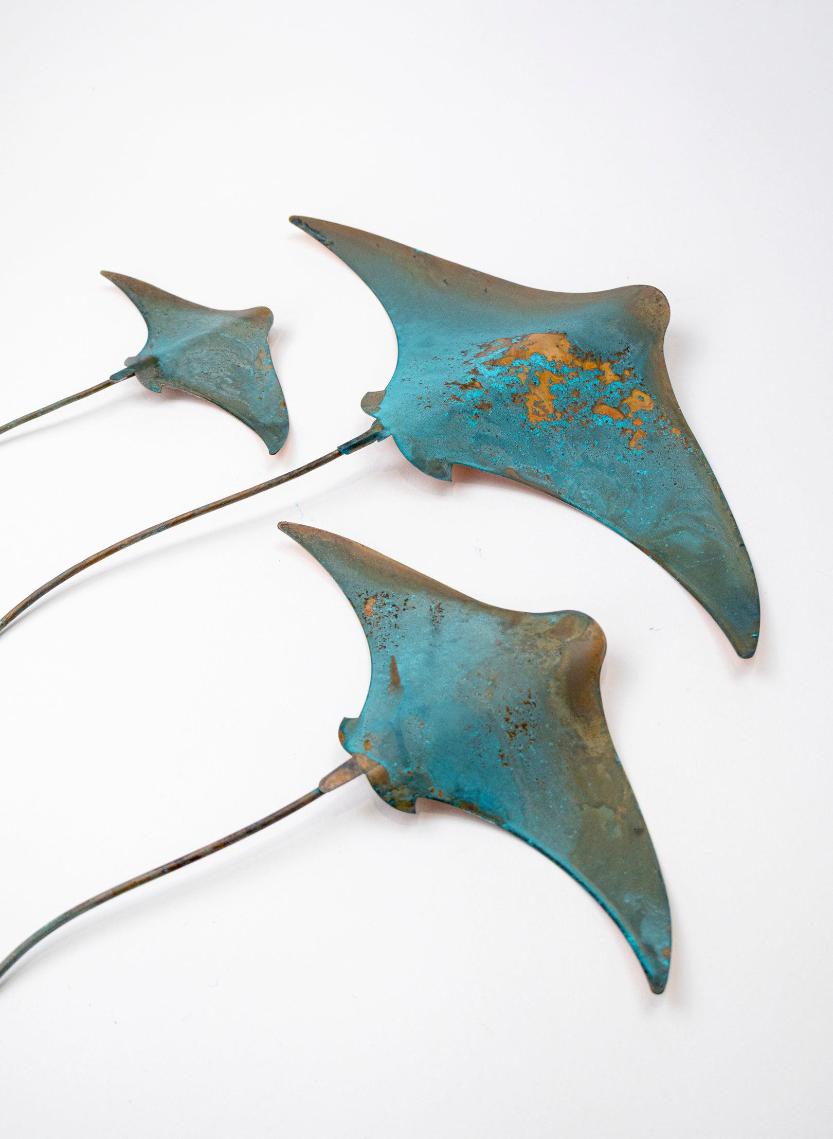 Stingray - Set of 3 (Teal)
