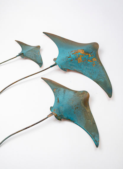 Stingray - Set of 3 (Teal)