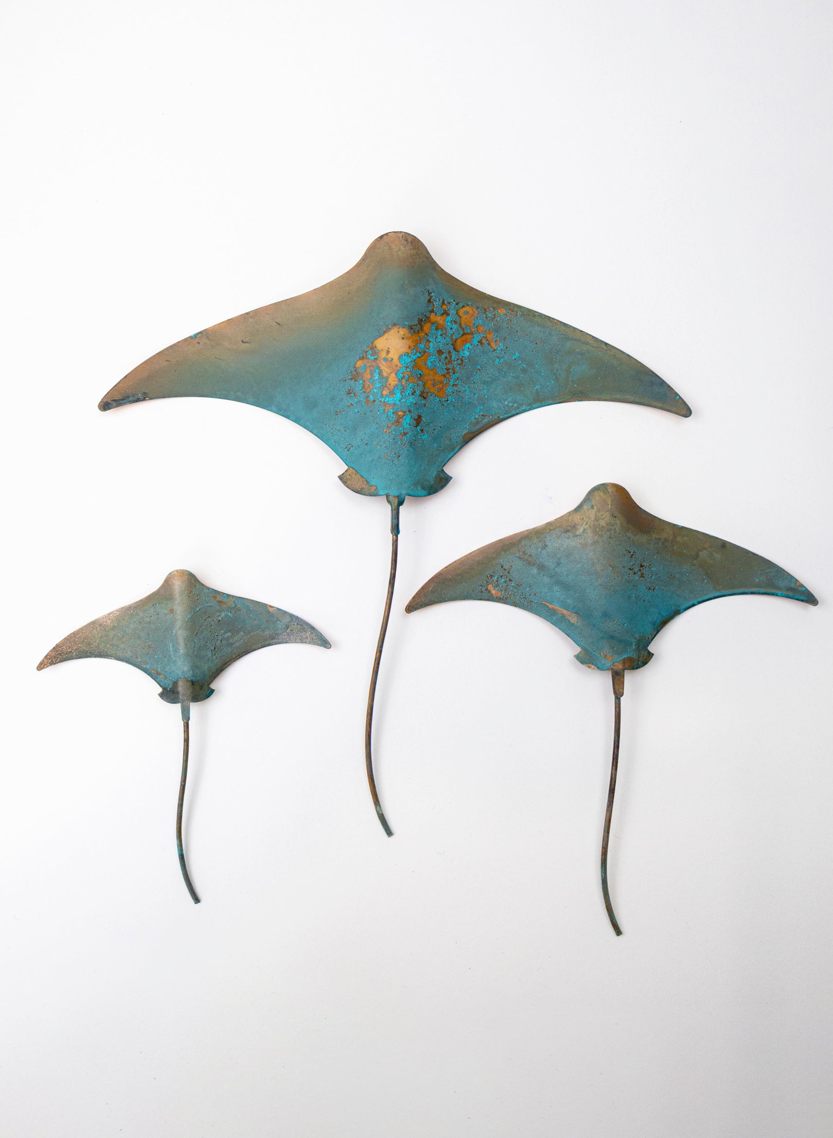Stingray - Set of 3 (Teal)