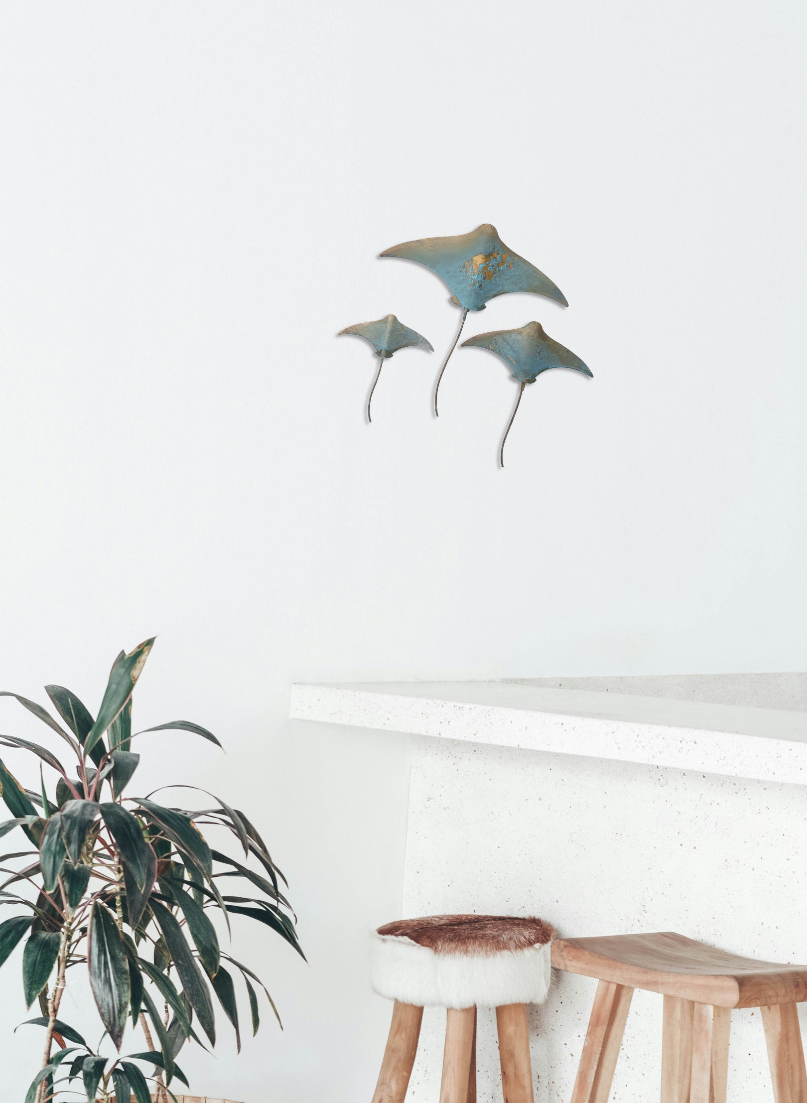 Stingray - Set of 3 (Teal)