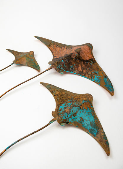 Stingray - Set of 3