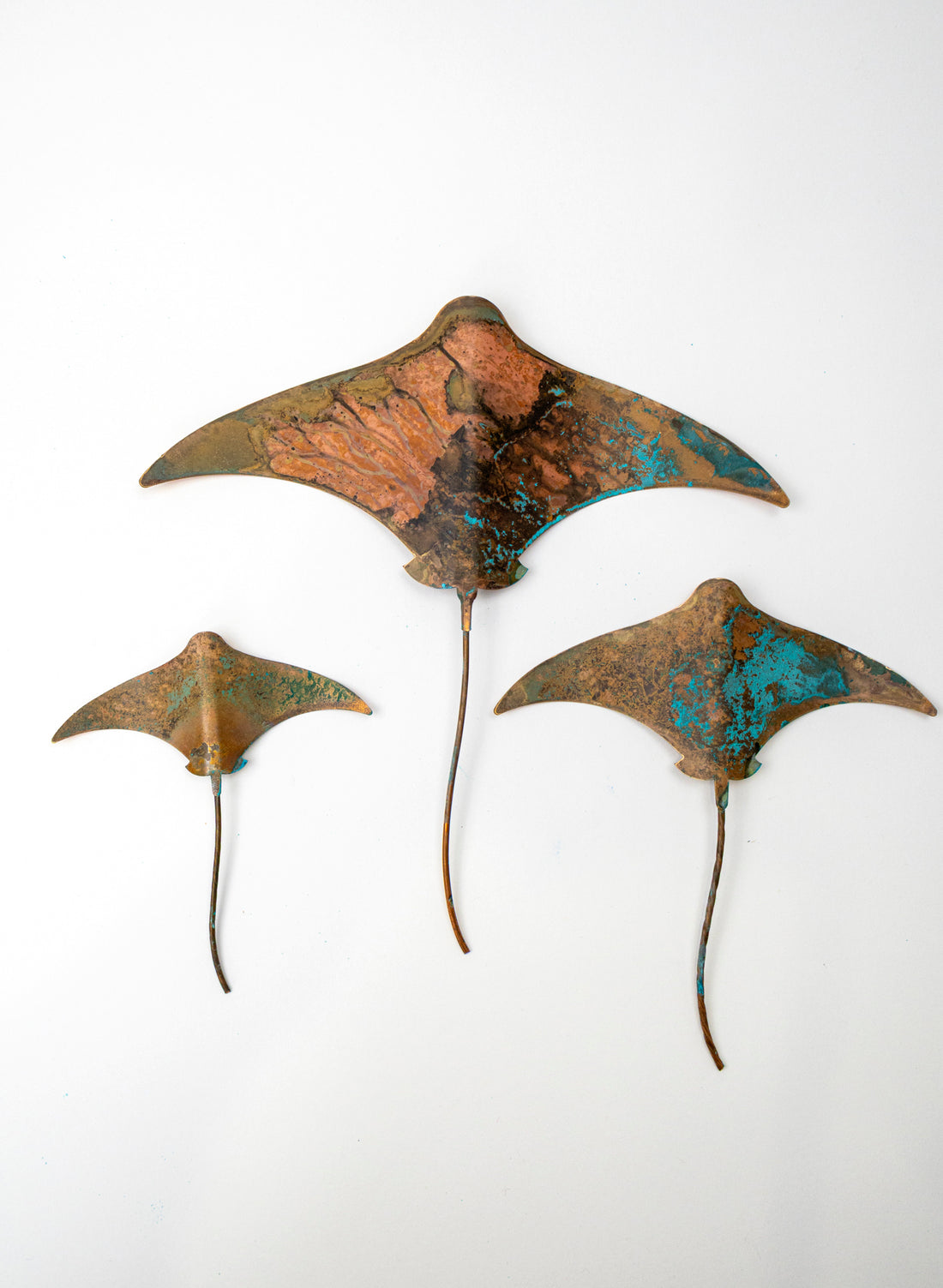 Stingray - Set of 3