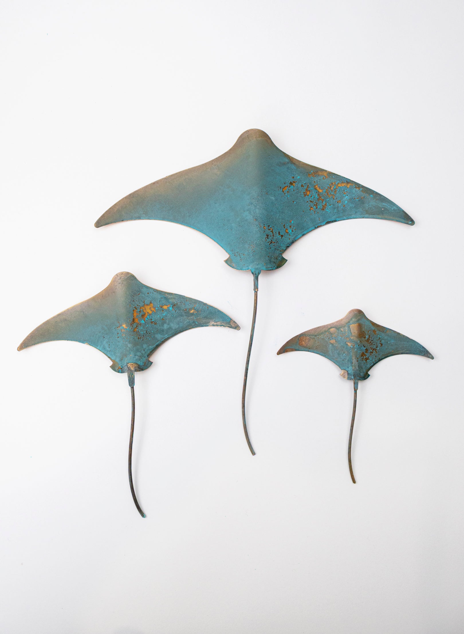 Stingray - Set of 3 (Teal)