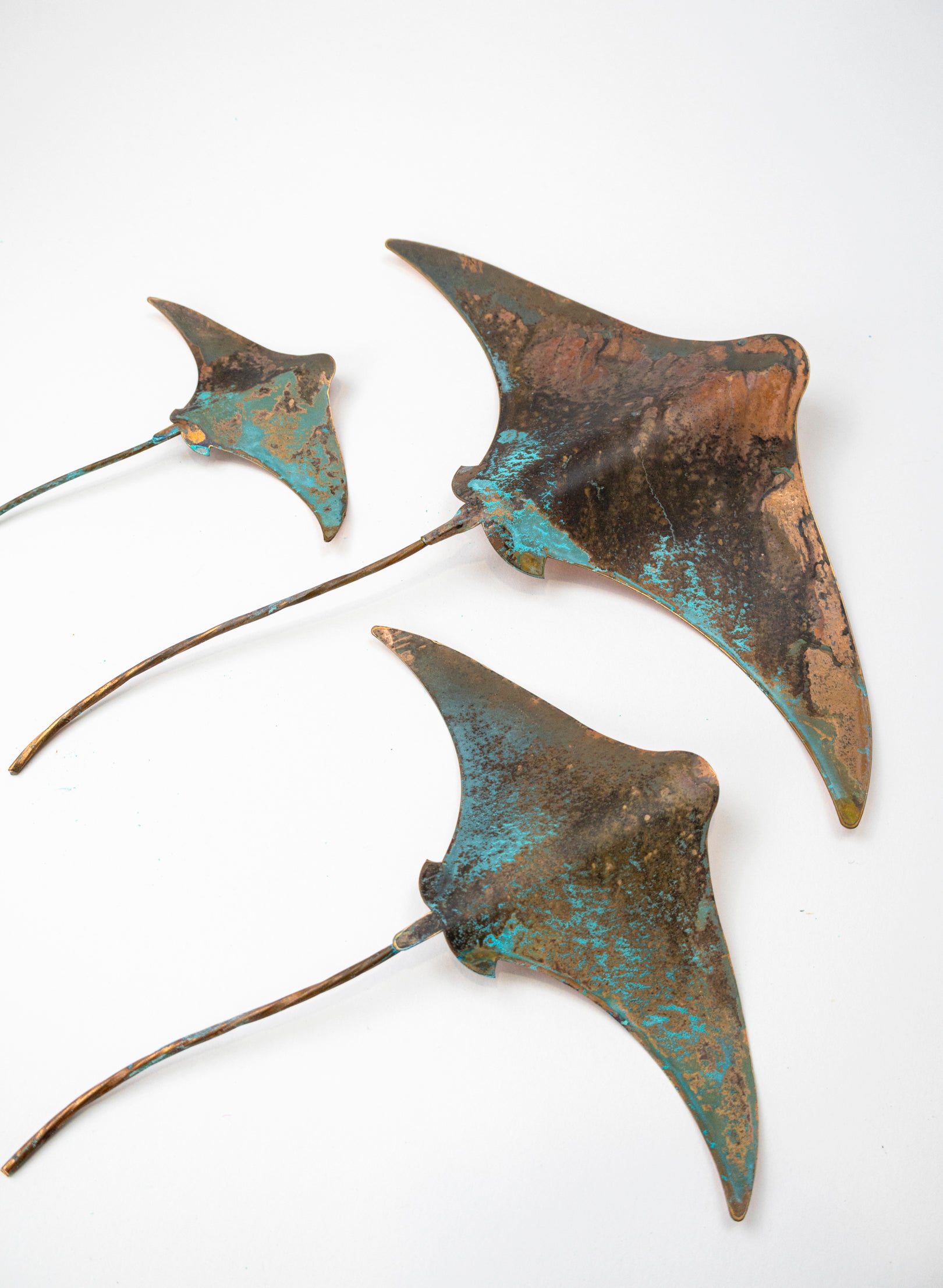 Stingray - Set of 3