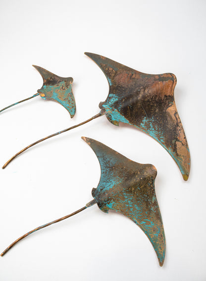 Stingray - Set of 3