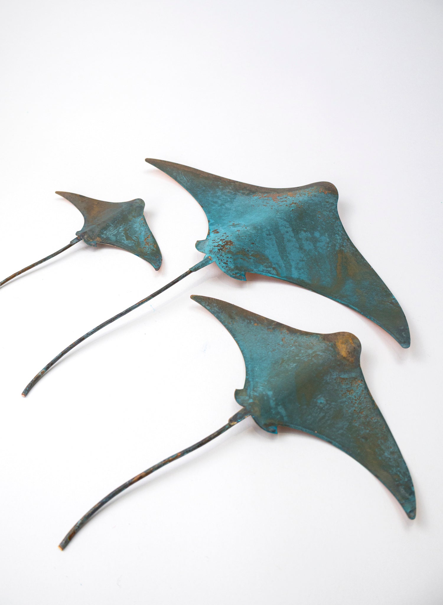 Stingray - Set of 3