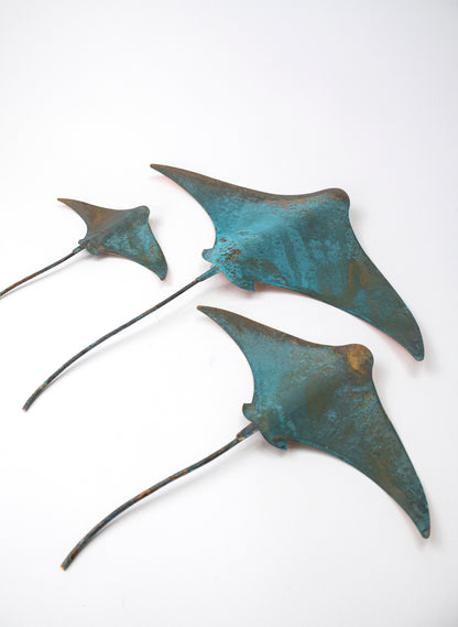 Stingray - Set of 3