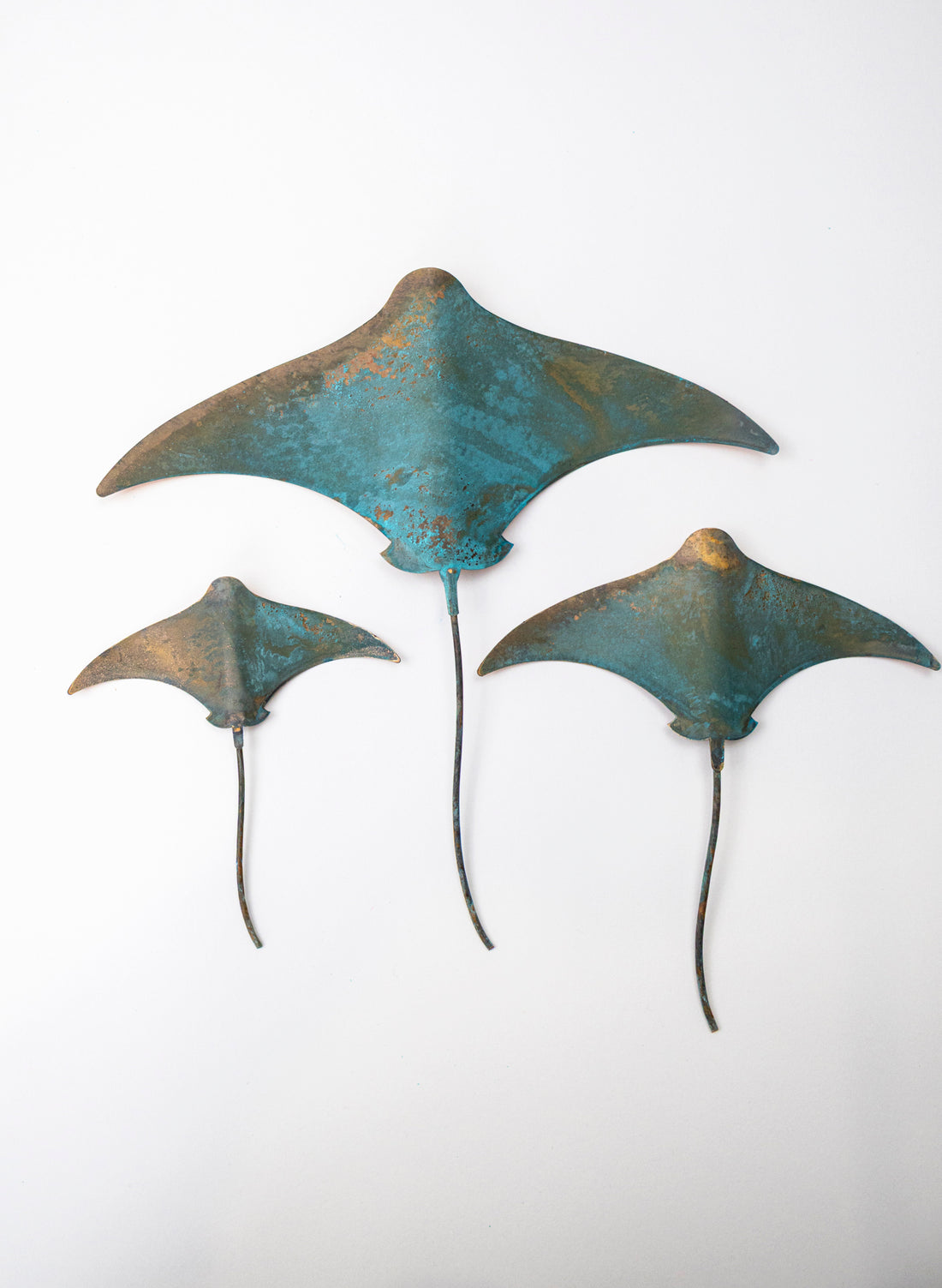 Stingray - Set of 3