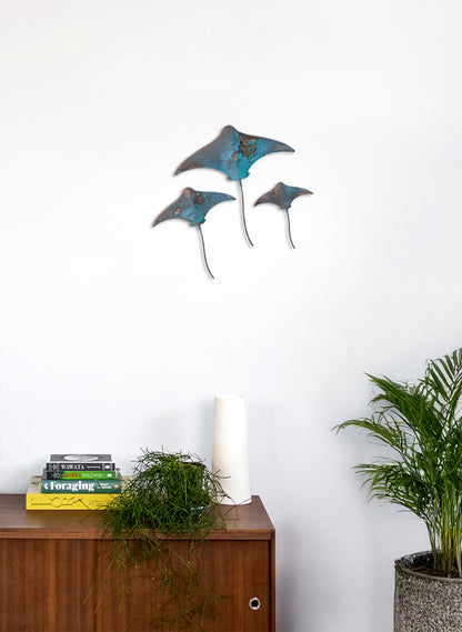 Stingray - Set of 3 (Teal)