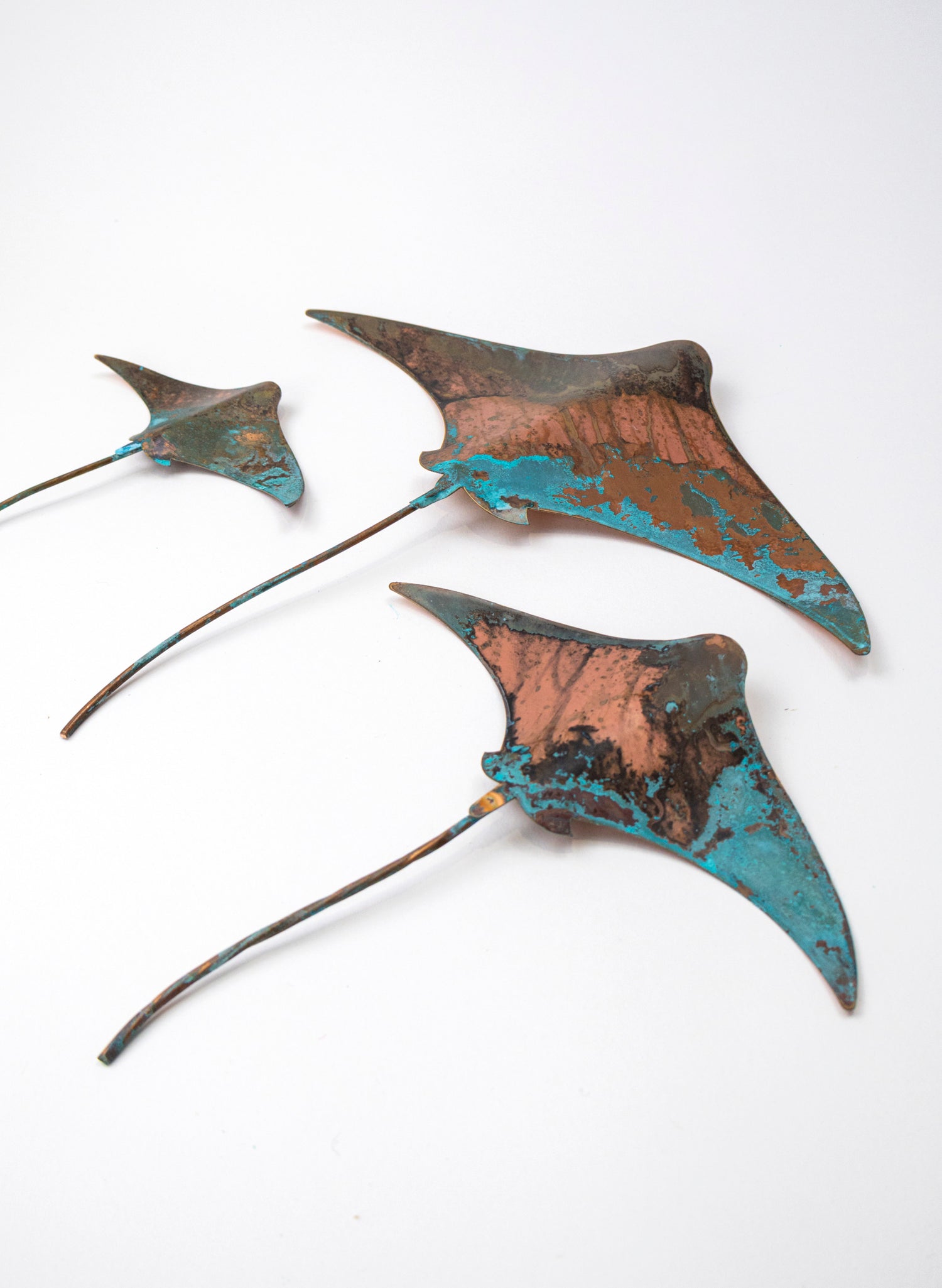 Stingray - Set of 3