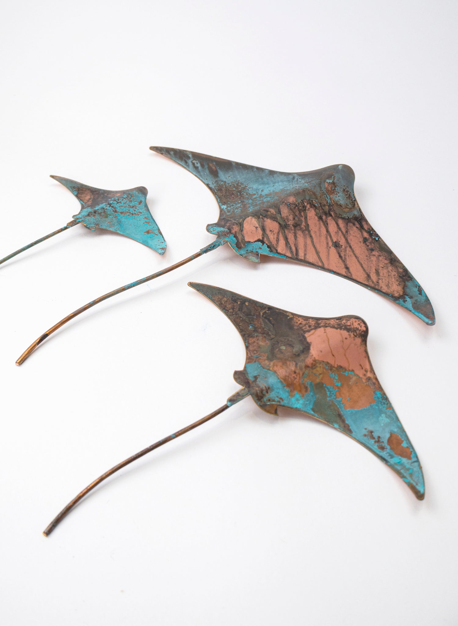 Stingray - Set of 3