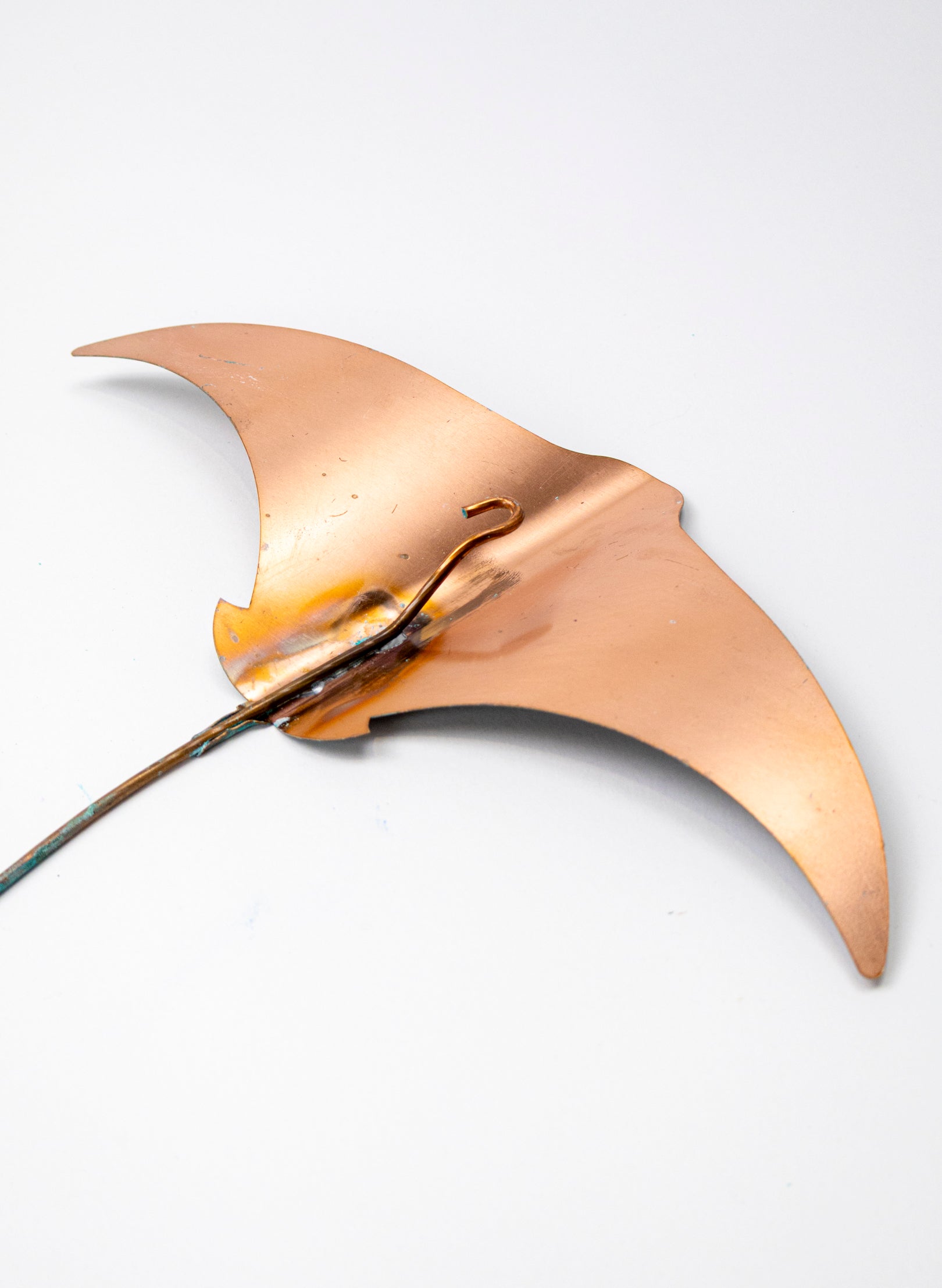Stingray - Set of 3