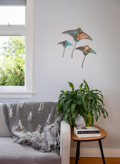 Stingray - Set of 3
