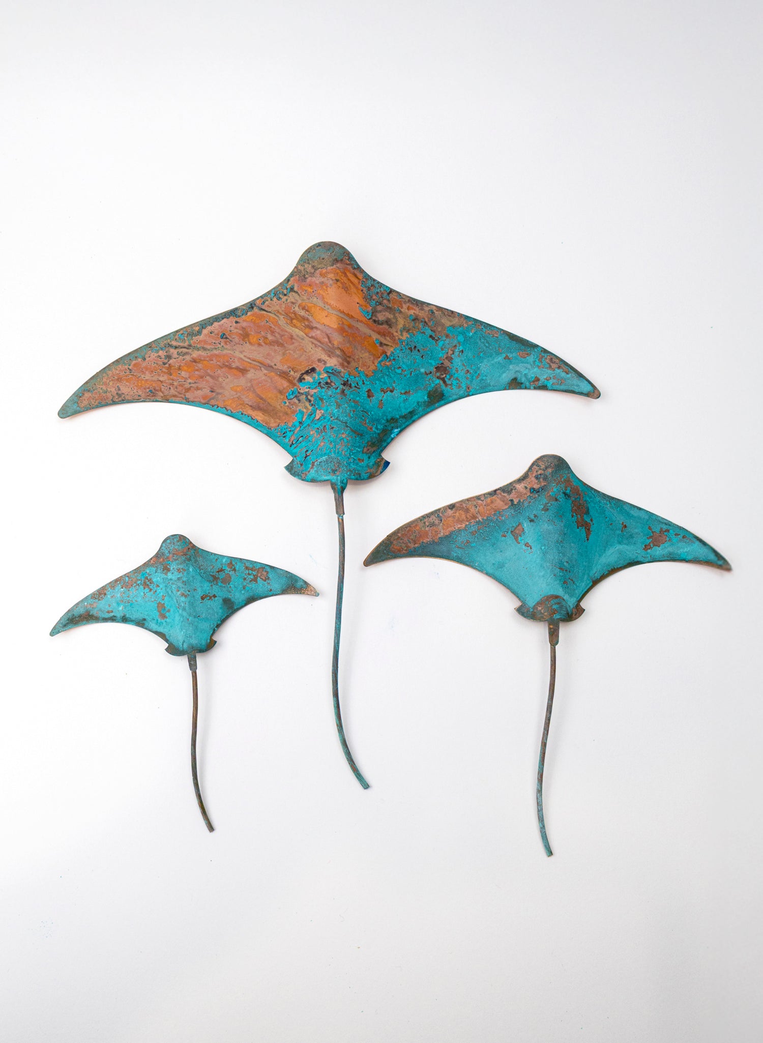Stingray - Set of 3 (Teal)