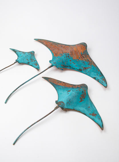 Stingray - Set of 3 (Teal)