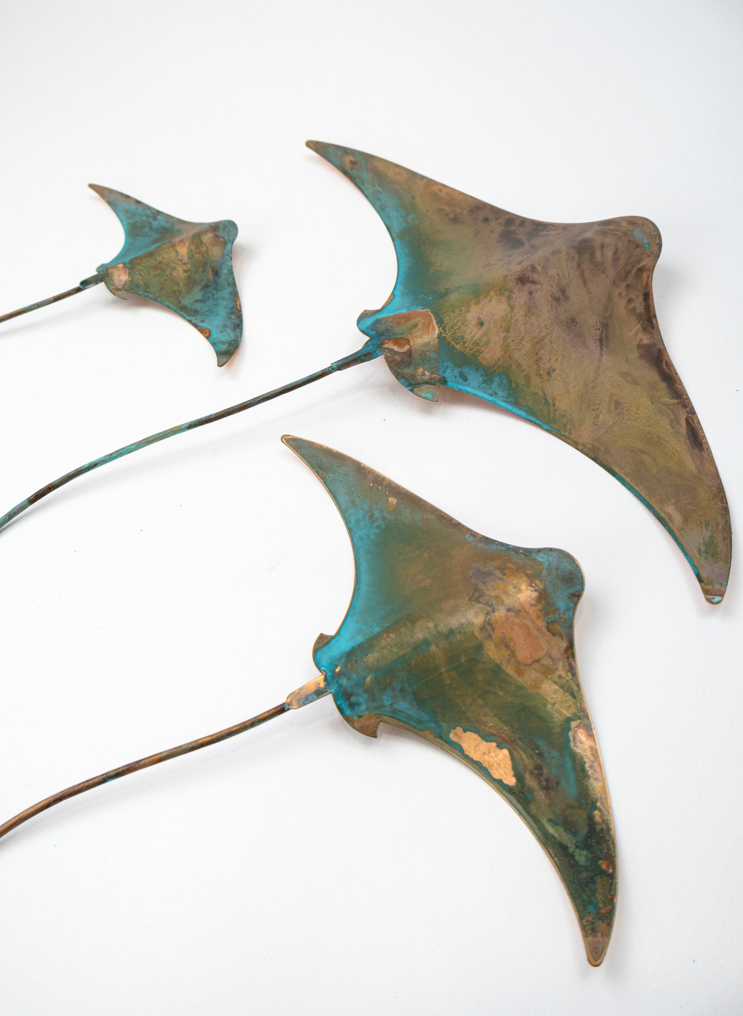 Stingray - Set of 3 (Teal)