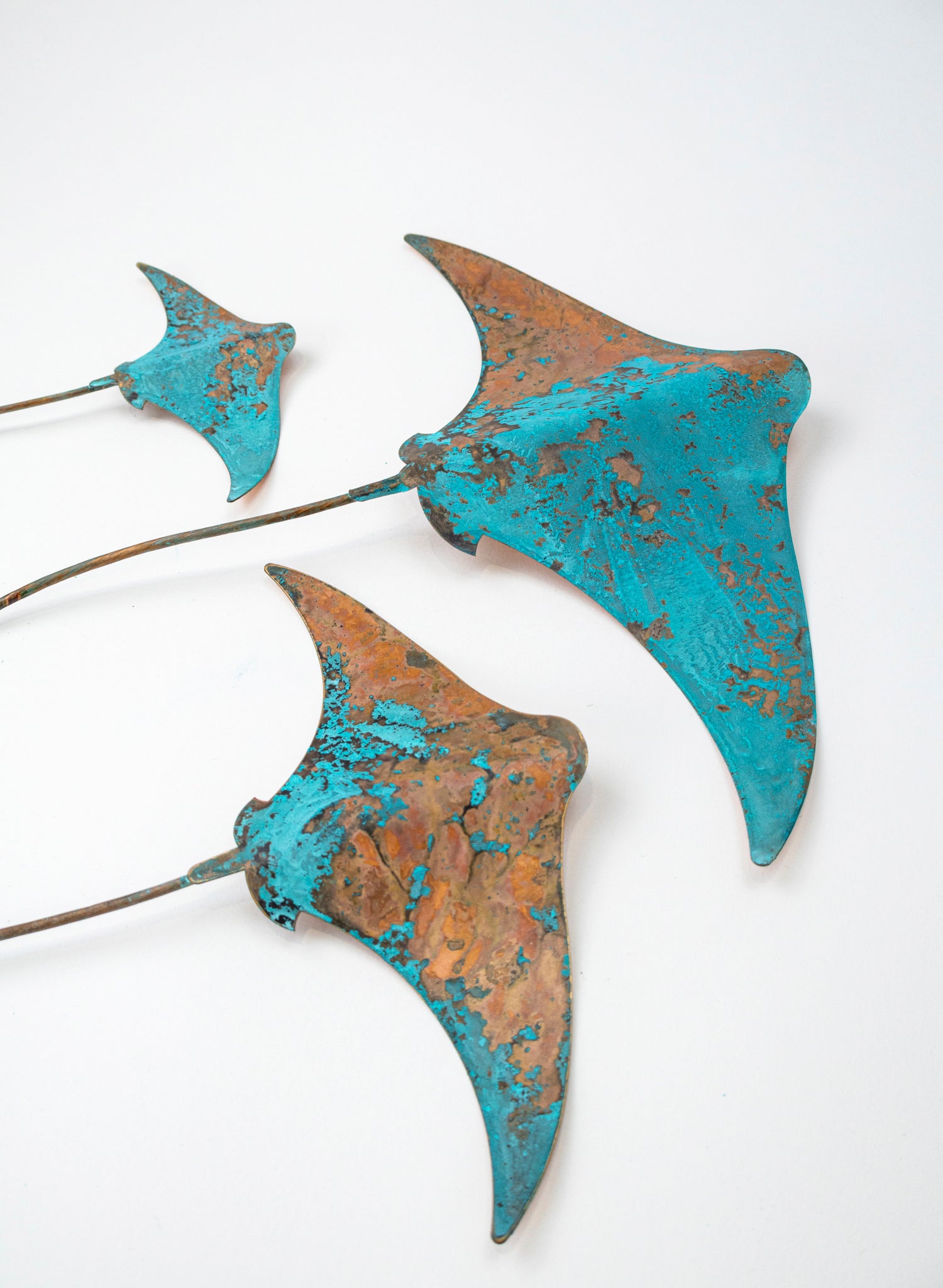 Stingray - Set of 3 (Teal)