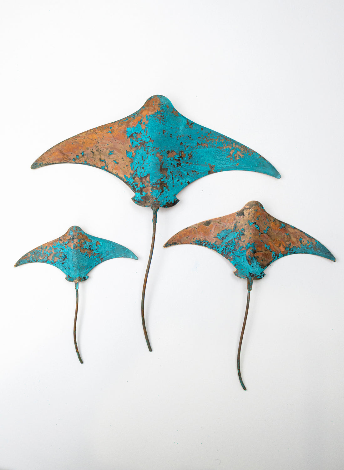 Stingray - Set of 3 (Teal)